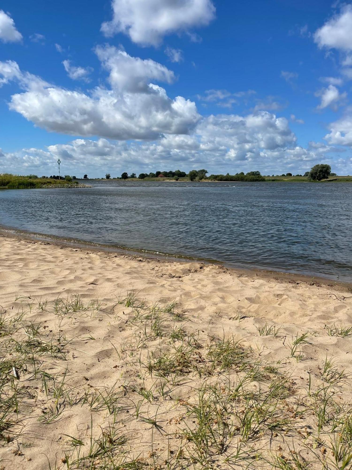 Hitzacker/elbe Lejlighed *
